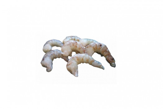 Scampi 16/20 déco+dev