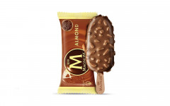 Magnum almond