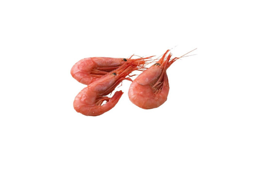 Crevette pandalus 90/120