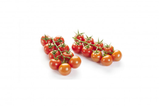 Tomate grappe ministar