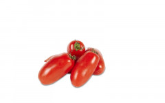 Tomate marzano allongée