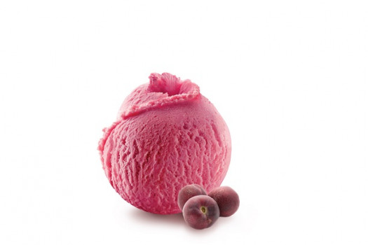 Sorbet pêche de vigne