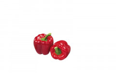 Poivron rouge (ndl)