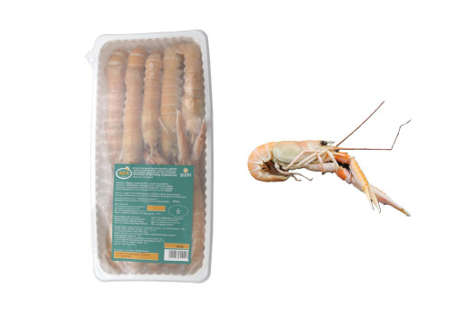 Langoustine 16/20