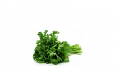 Persil plat botte (esp)