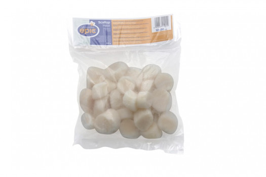 Noix st jacques usa 10/20