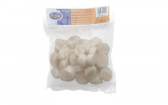 Noix st jacques usa 10/20