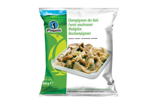 Champignon forestière