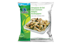 Champignon forestière