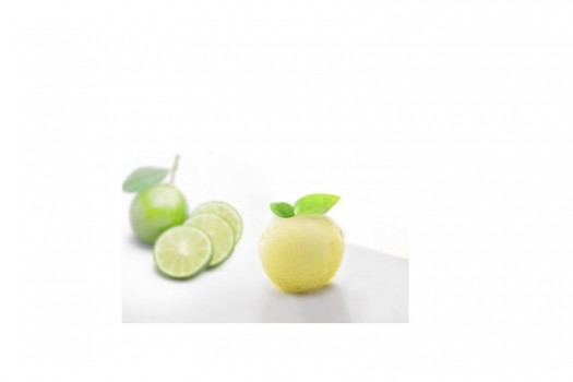 Sorbet citron vert zeste