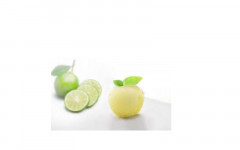 Sorbet citron vert zeste