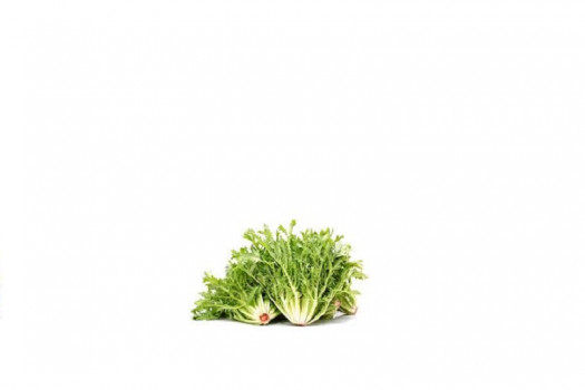 Salade endive frisée fine (bel)