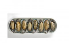 Moules en 1/2 coque
