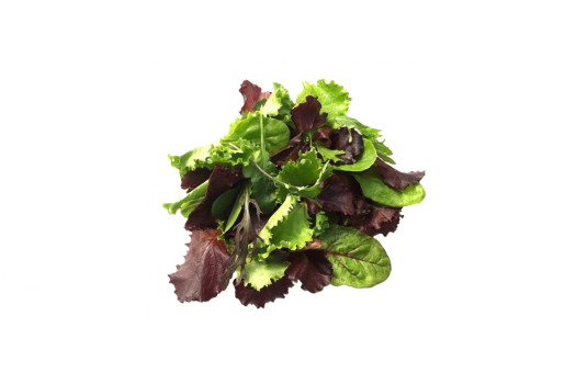 Salade mesclun (ita)