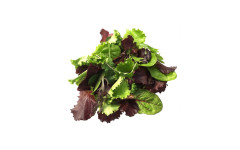 Salade mesclun (ita)