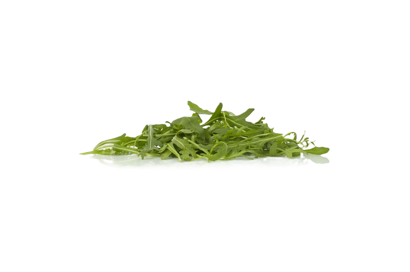 Roquette