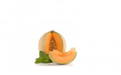 Melon cavaillon (bel)