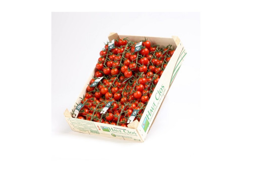 Tomate cerise grappe cherrystar caisse (bel)