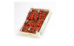 Tomate cerise grappe cherrystar caisse (bel)