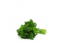 Persil frisé botte (esp)