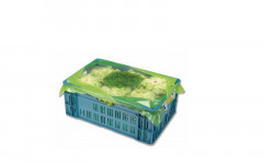 Salade laitue emballée caisse (bel)