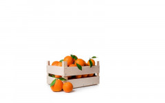 Orange à jus caisse (esp)