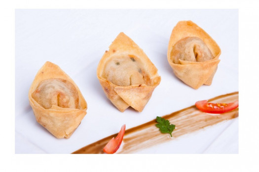 Bouchée poulet wonton