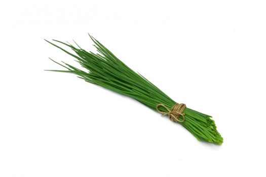 Ciboulette botte (ke)