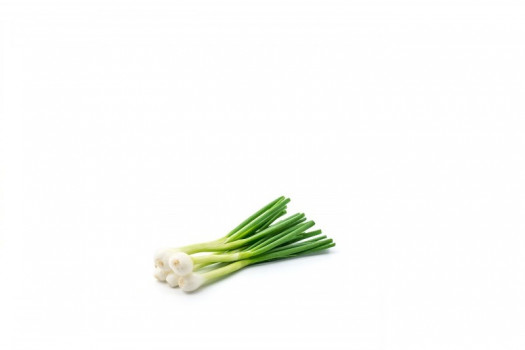 Oignon jeune botte (de)