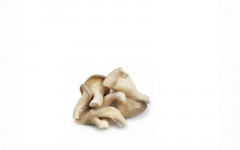 Champignon pleurote caisse