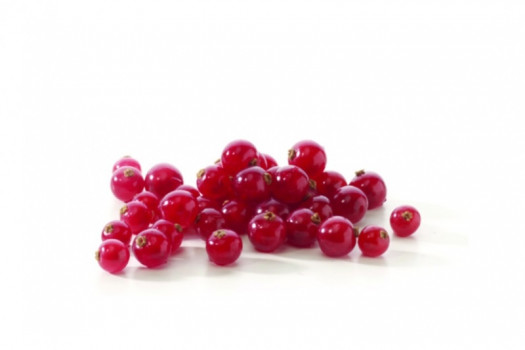 Groseille rouge