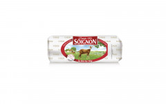 Bûche chèvre soignon