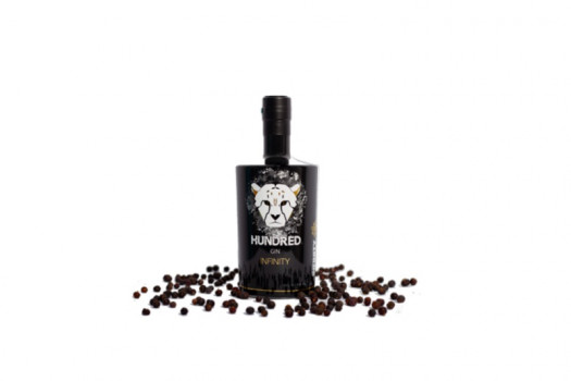 Gin hundred infinity