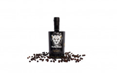 Gin hundred infinity