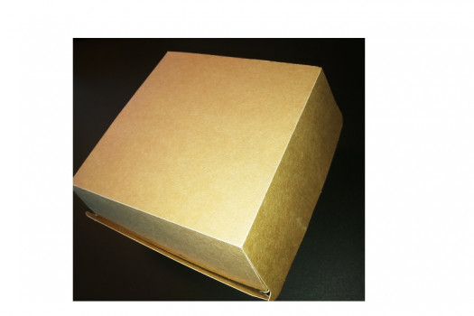 Box hamburger ap6 xl