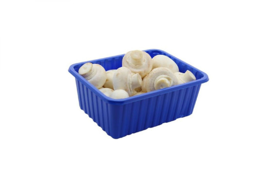 Champignon de paris blanc ravier (bel)