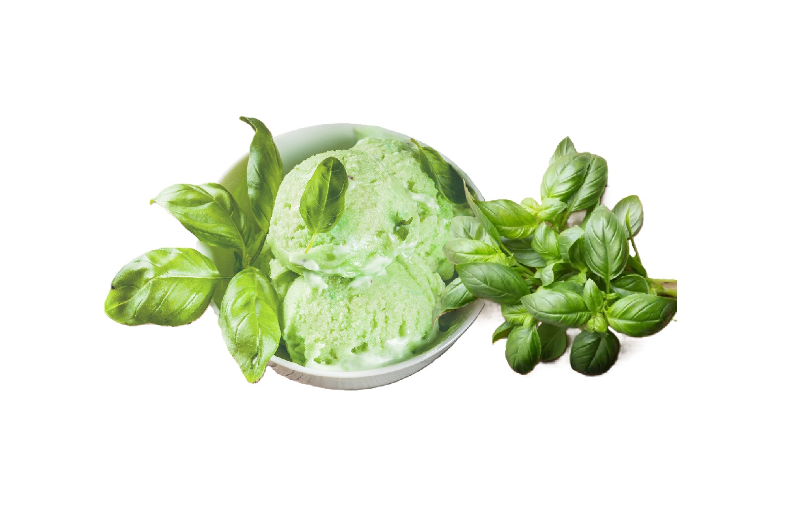 Sorbet Basilic